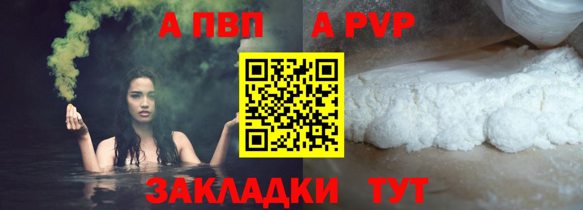 Alfa_PVP СК КРИС Пенза