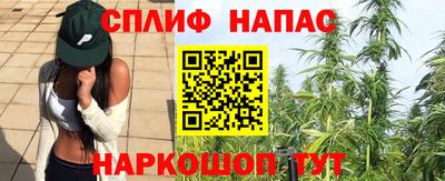 сатива Бугуруслан
