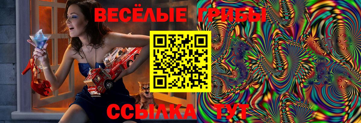 Псилоцибиновые грибы ЛСД Пенза